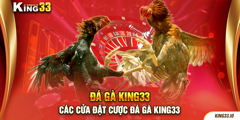 Các cửa đặt cược đá gà King33