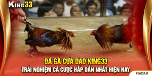 Đá gà cựa dao King33- Trải nghiệm cá cược hấp dẫn nhất hiện nay