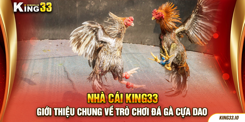 Giới thiệu chung về trò chơi đá gà cựa dao