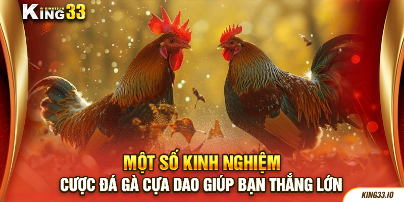 Một số kinh nghiệm cược đá gà cựa dao giúp bạn thắng lớn