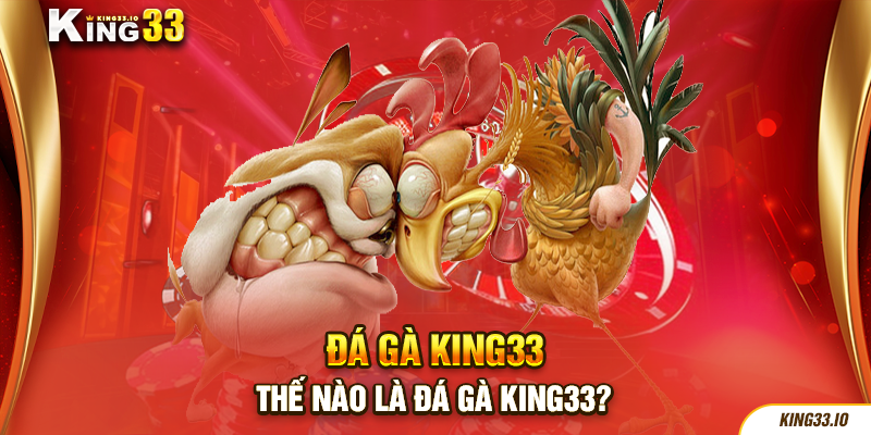 Thế nào là đá gà King33?